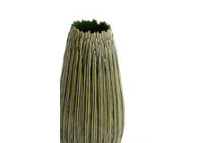 Light & Living Vaas Deco Ø24 5x52 Cm KOPRA Keramiek Donker Groen