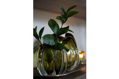 Light & Living Vaas Ø14 5x16 Cm MURELA Glas Olijf Groen