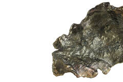 Light & Living Wandornament 32x30x13 Cm SIDOMI Antiek Brons