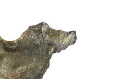 Light & Living Wandornament 37x13x65 Cm SIDOMI Antiek Brons