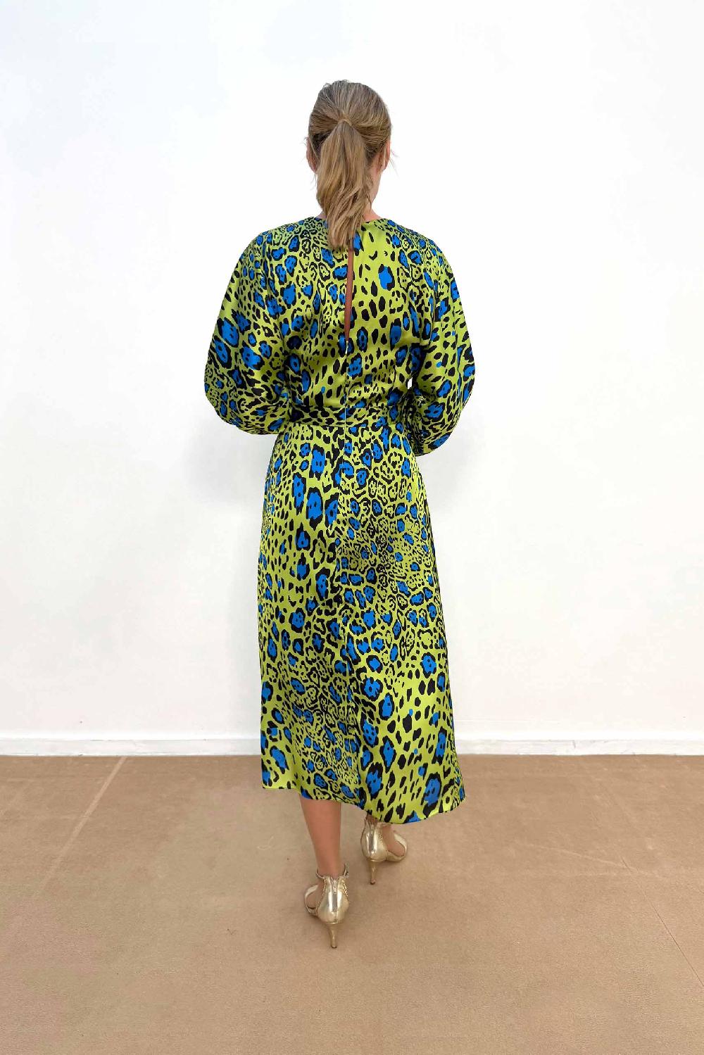 Linea Raffaelli Green Blue Animal Print Dress