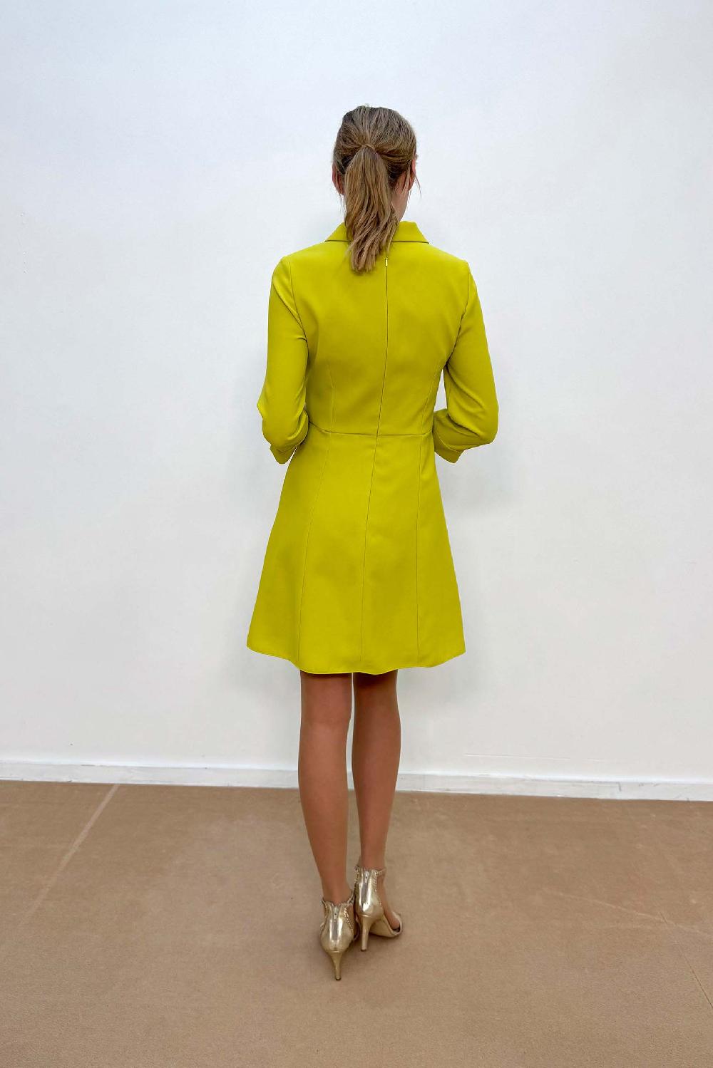 Linea Raffaelli Lime Zipper Dress