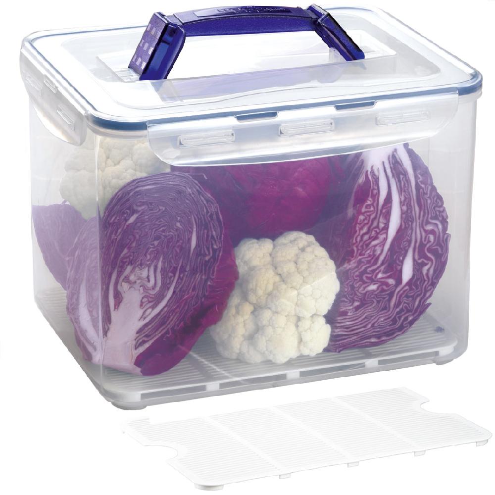 lock & lock Grote vershouddoos 10 liter met vochtrooster