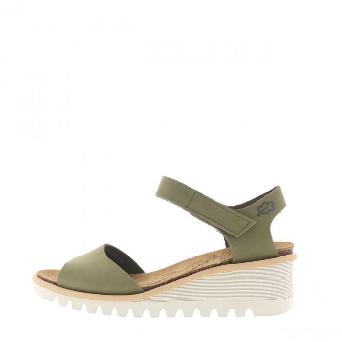 loints of holland Baarlo