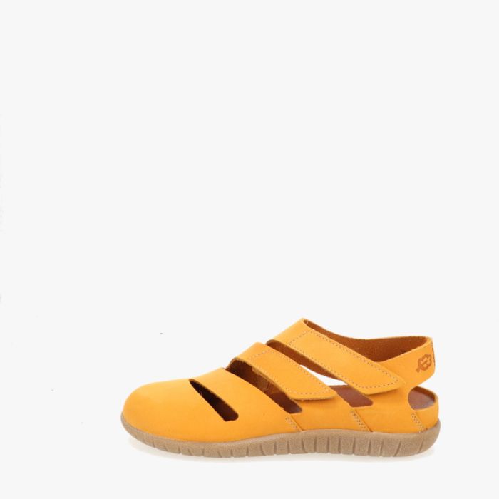 loints of holland Beekkant