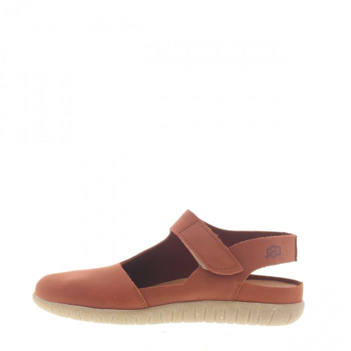 loints of holland Biezelinge