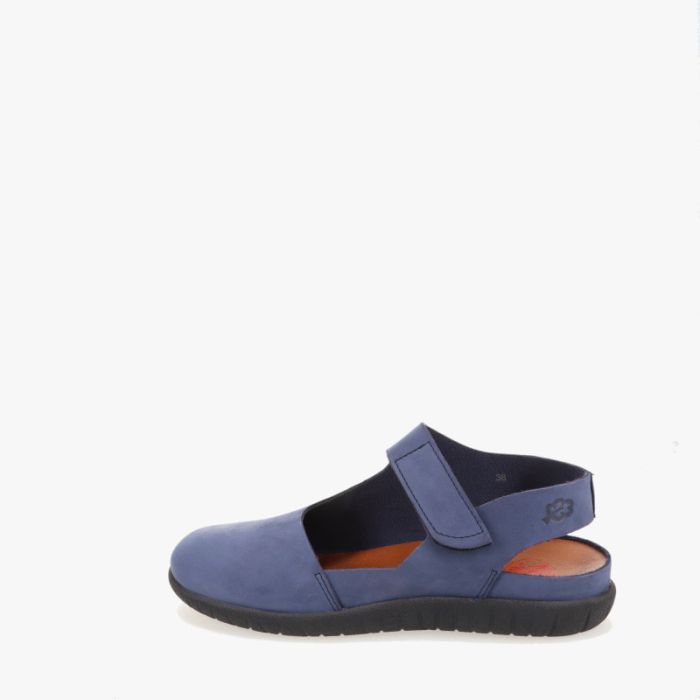 loints of holland Biezelinge