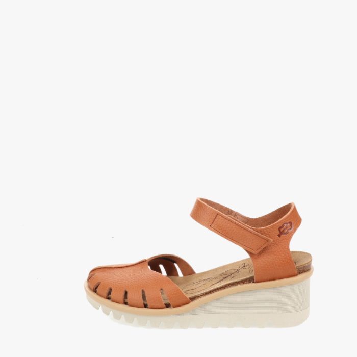 loints of holland Blijdenstein