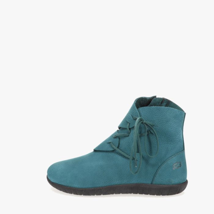 loints of holland Brem