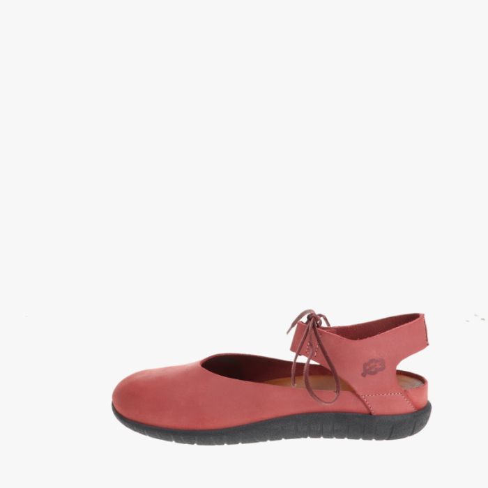 loints of holland Bunde