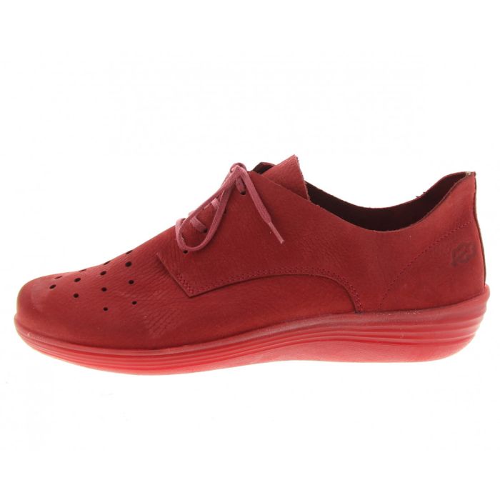 loints of holland Cirkel