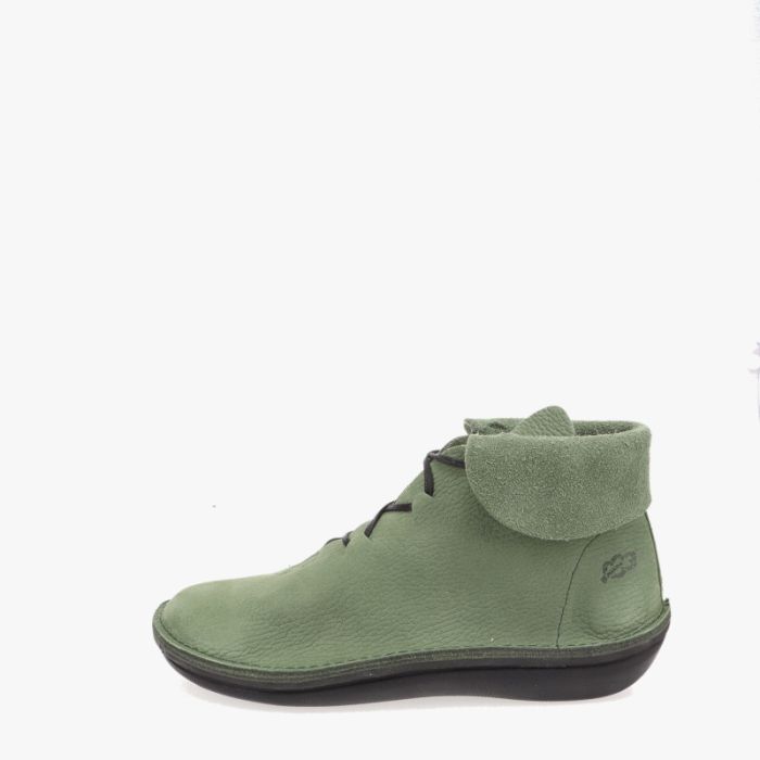 Loints Of Holland Collendoorn