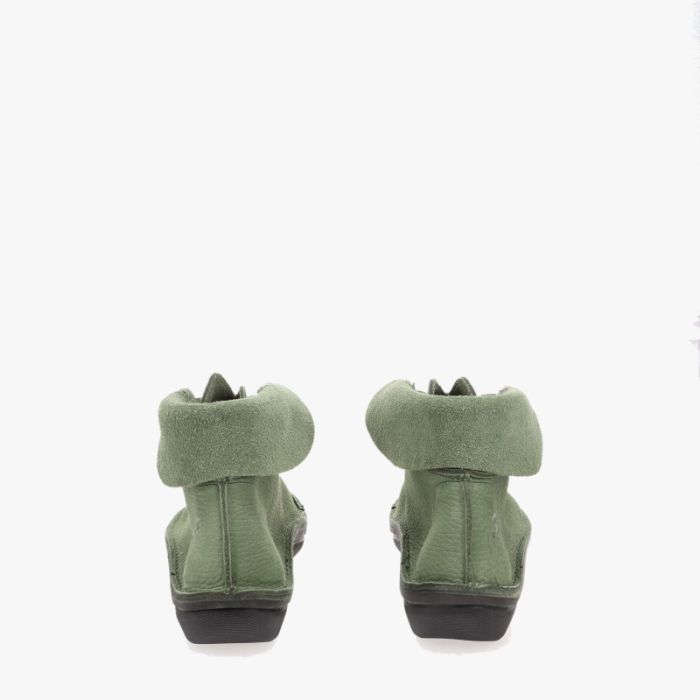 Loints Of Holland Collendoorn