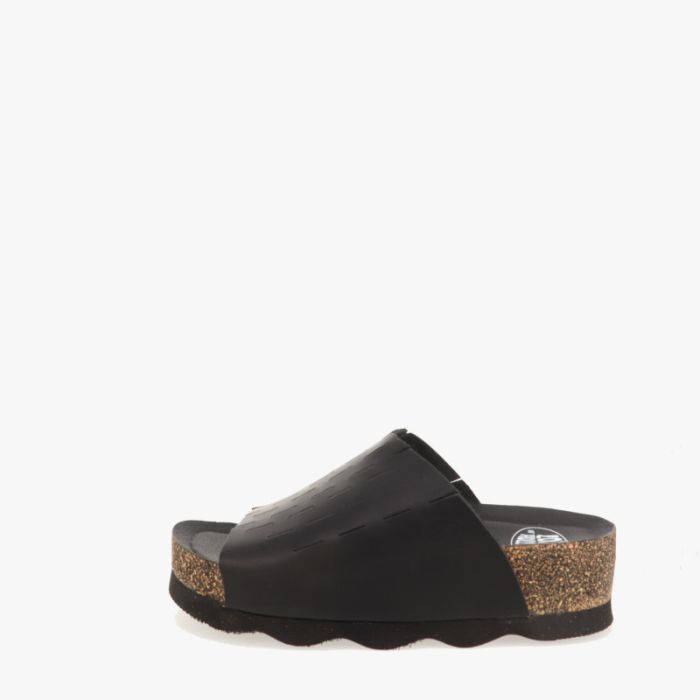 loints of holland Dalem