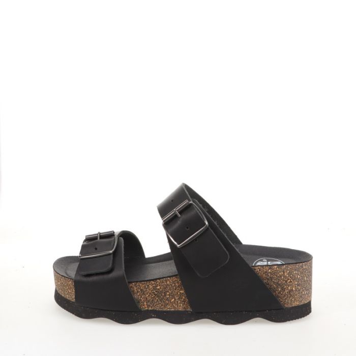 loints of holland Didam