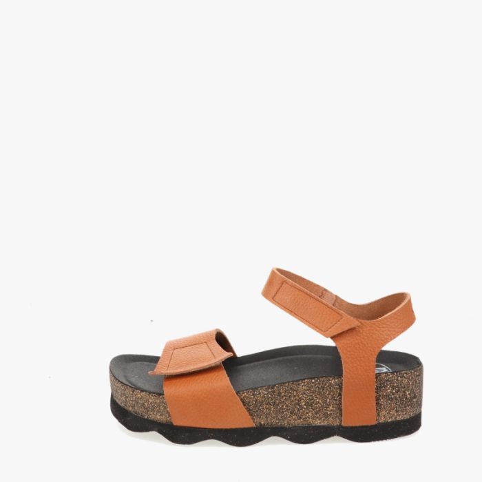 loints of holland Dieren