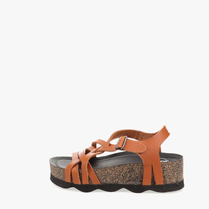 loints of holland Drempt