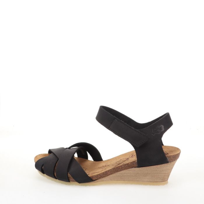 loints of holland Ellecom