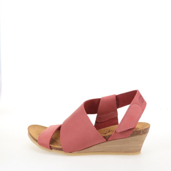 loints of holland Empel