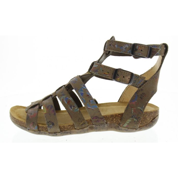 loints of holland Florida