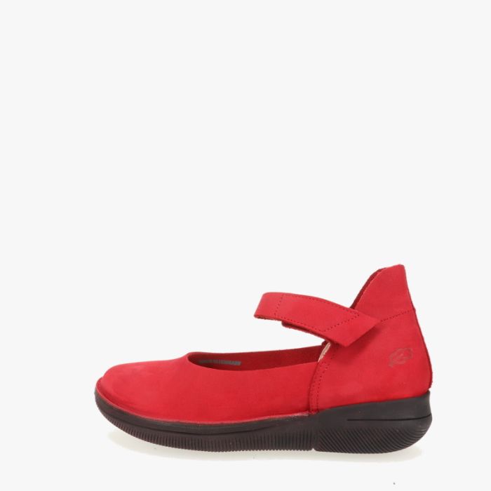 loints of holland Froombosch