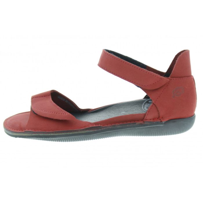 loints of holland jan