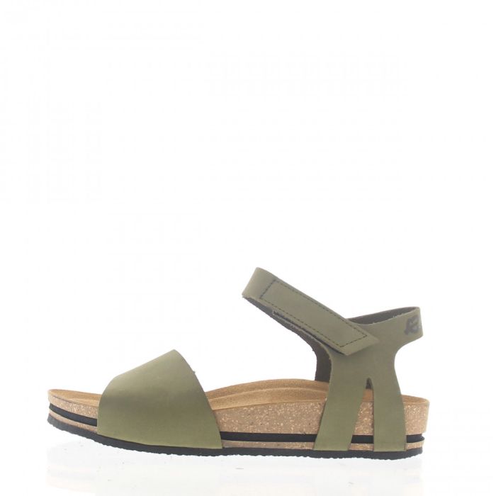 loints of holland Jazz