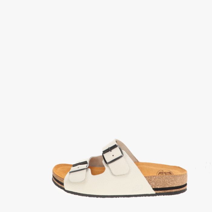 loints of holland Jeth