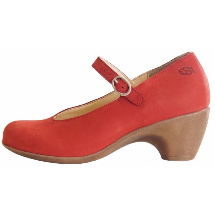 loints of holland Jive