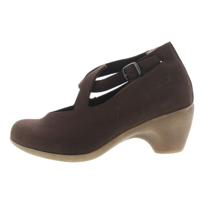 loints of holland Jive