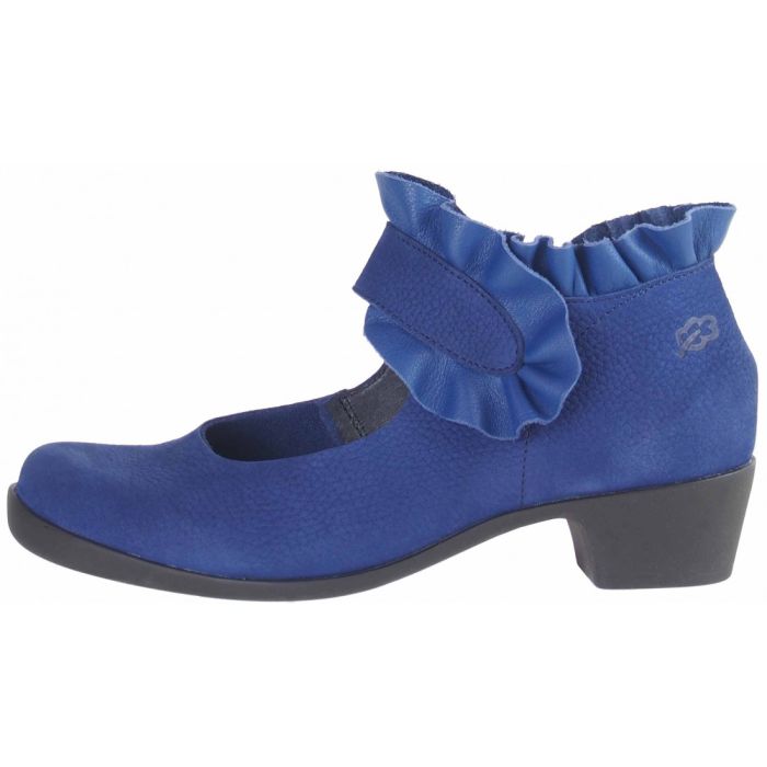 loints of holland Joyce