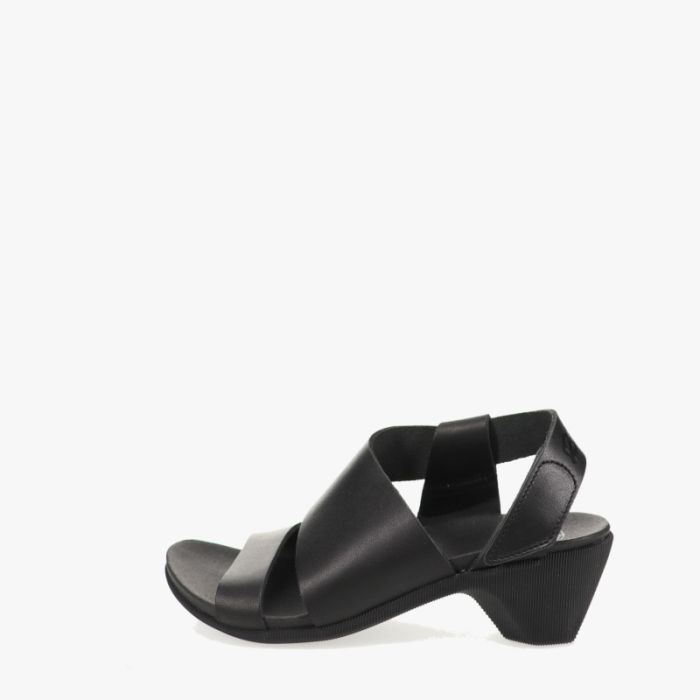 loints of holland Kijfwaard