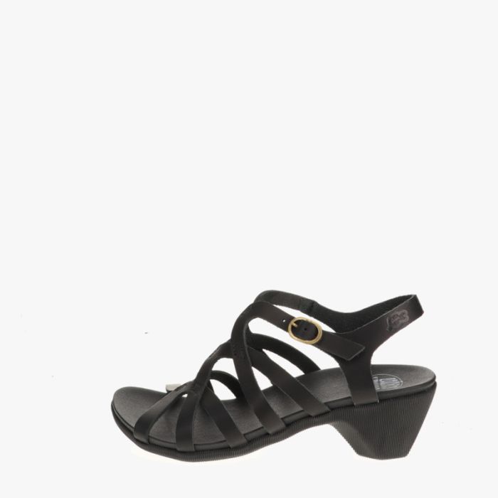 loints of holland Kolderveen