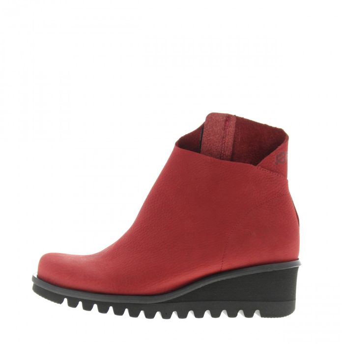 Loints Of Holland Lettelbert