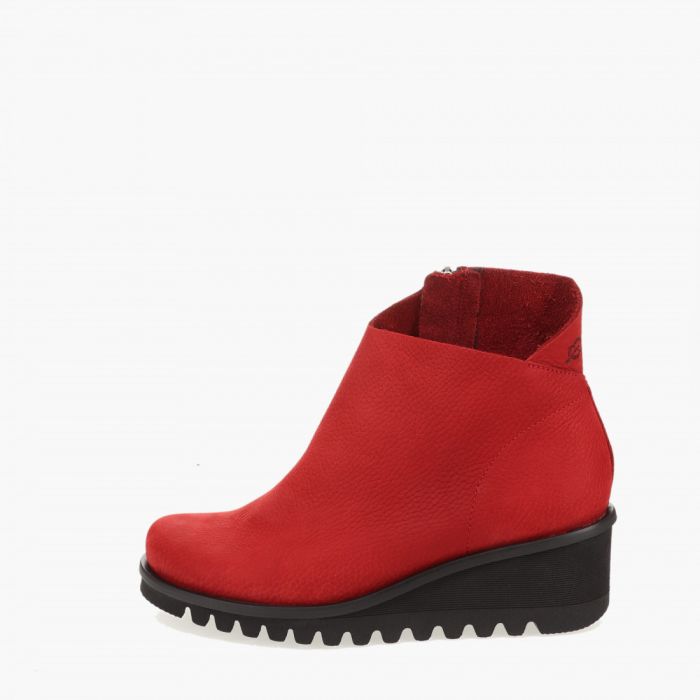 loints of holland Lettelbert