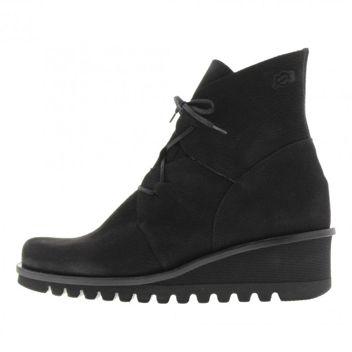 loints of holland Liessel