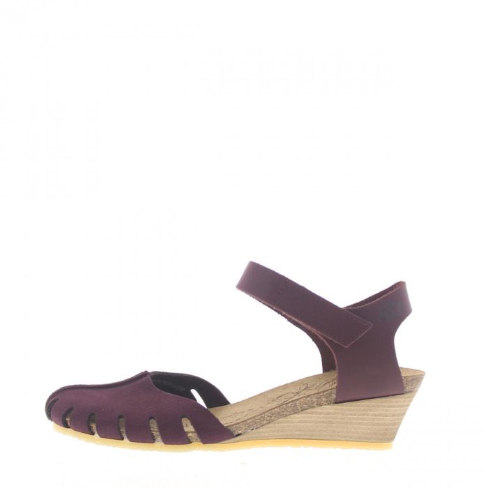 loints of holland Lutjebroek