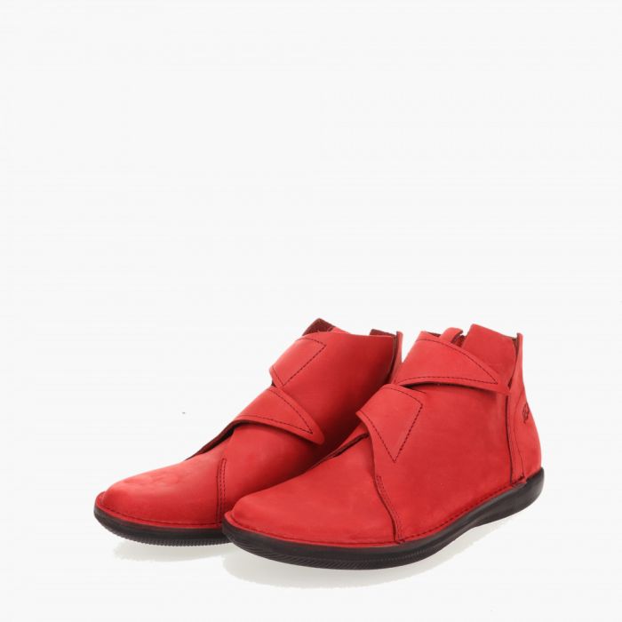 Loints Of Holland Nederweert