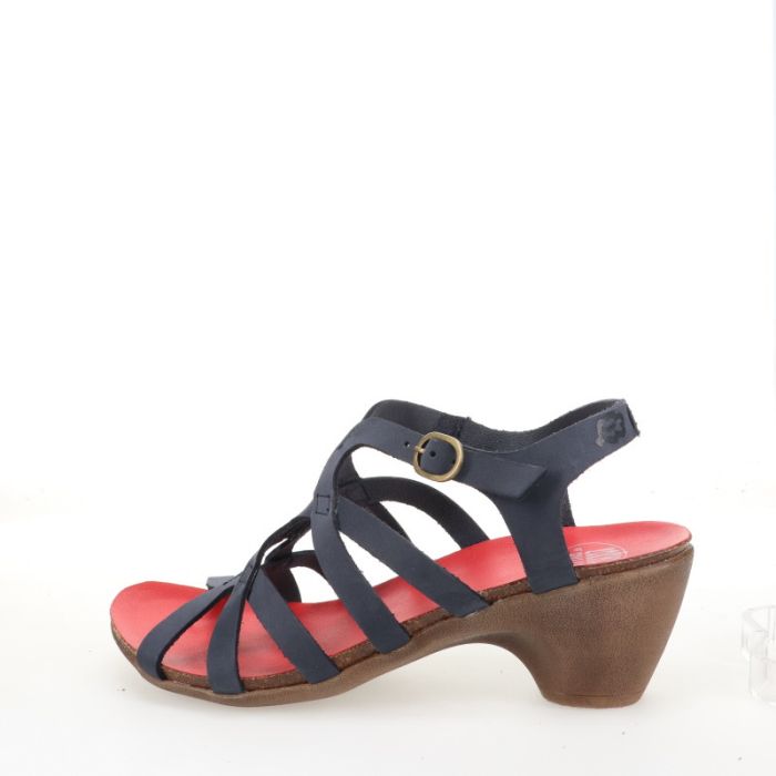 loints of holland Niebert