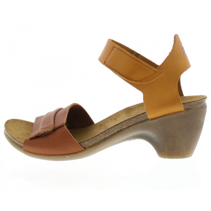 loints of holland Noordbeek