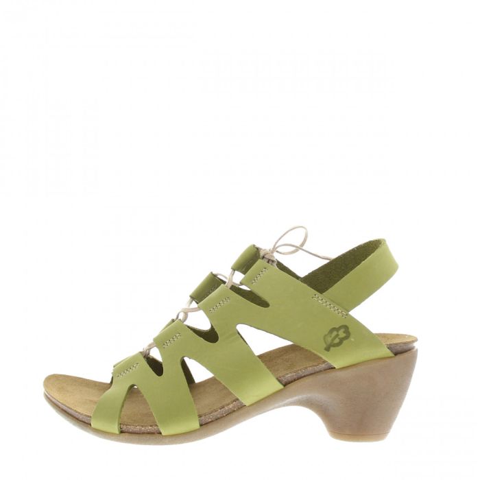 loints of holland Noukoop