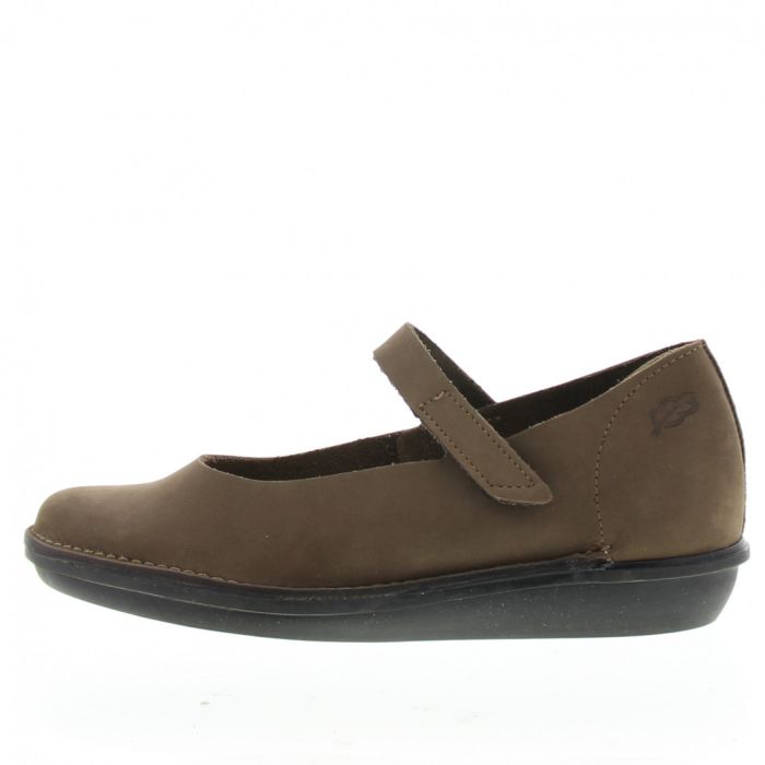 loints of holland Nova