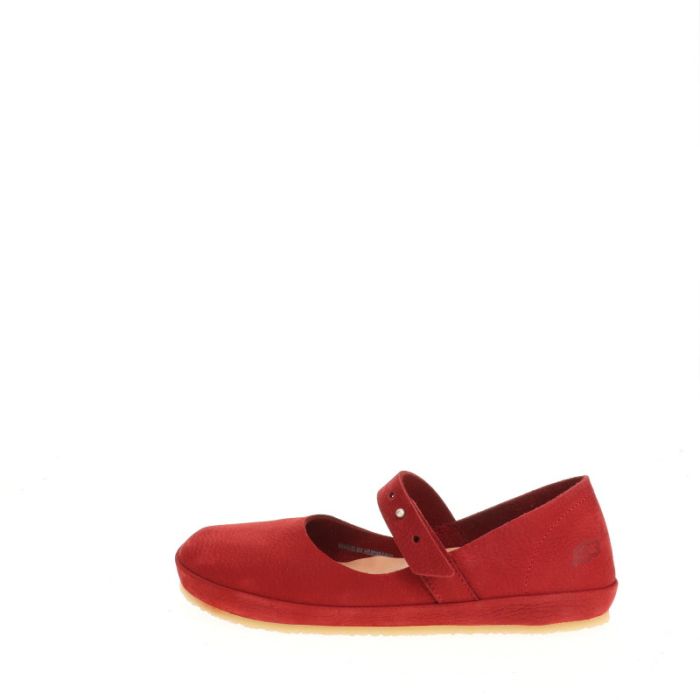 loints of holland Putte