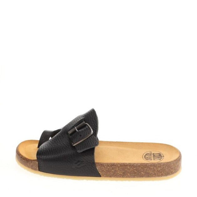 loints of holland Rond