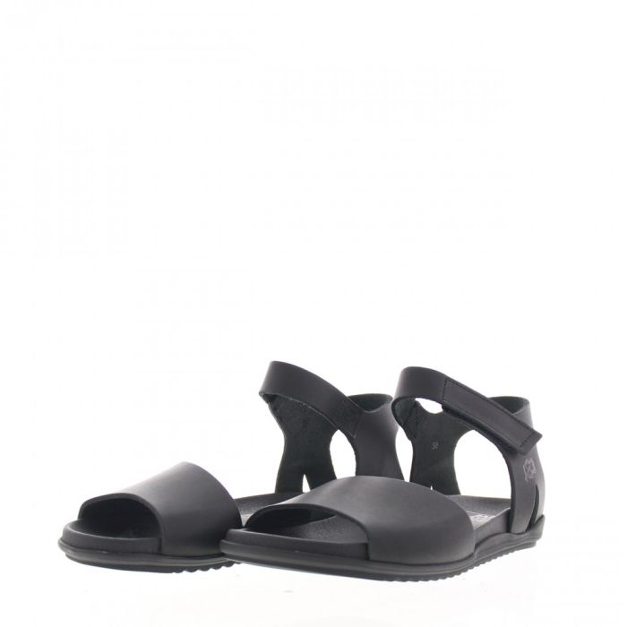 Loints Of Holland Sappemeer