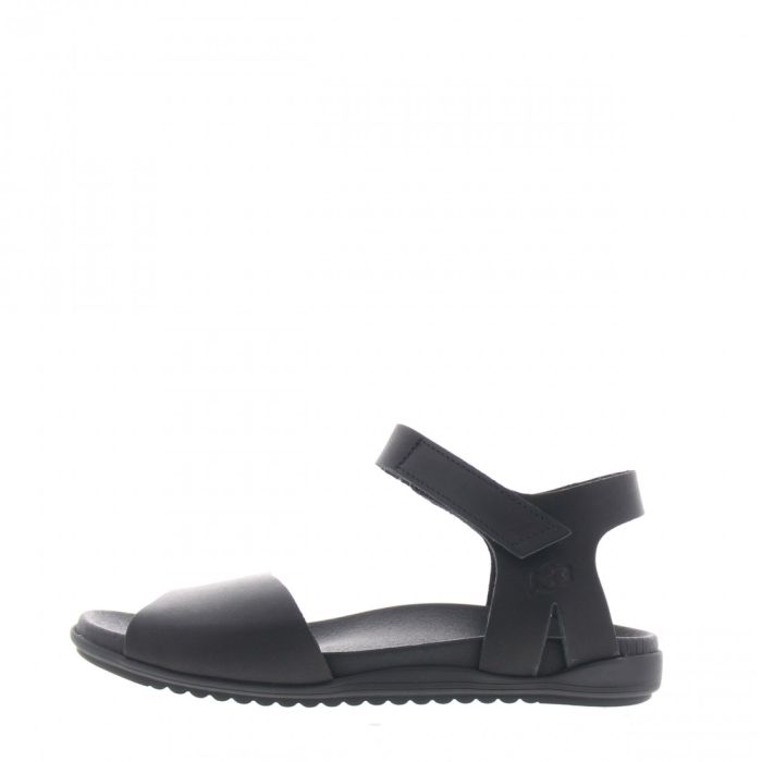 loints of holland Sappemeer