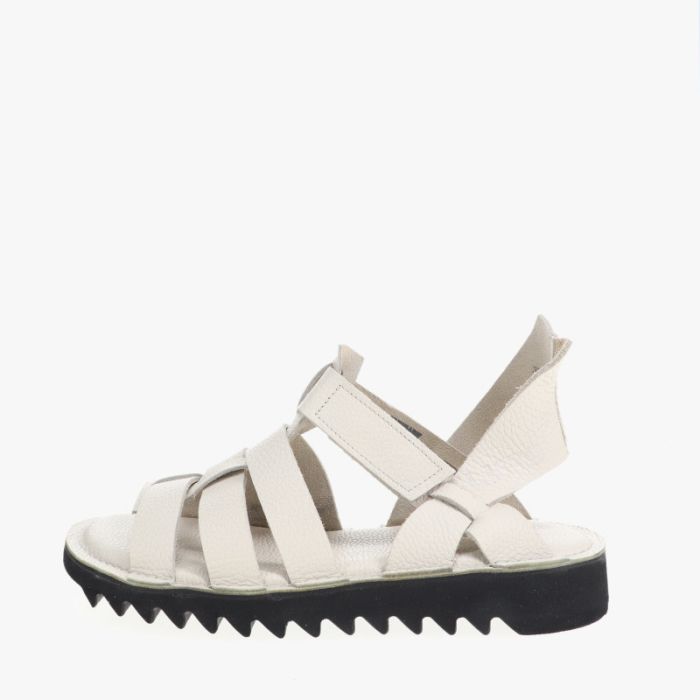 loints of holland Soren