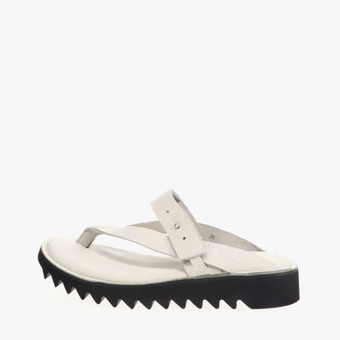 loints of holland Sumerië