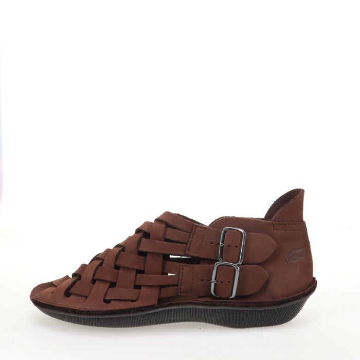 loints of holland Taarlo