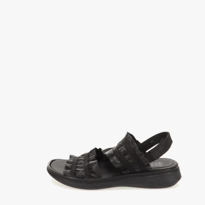 loints of holland Tholen